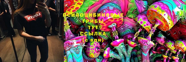 стаф Магадан