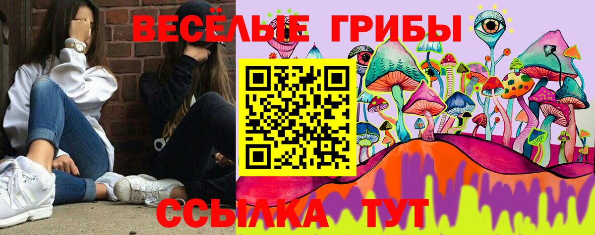Галлюциногенные грибы Cubensis  Псилоцибиновые грибы MAGIC MUSHROOMS  Вход с VPN  Новоуральск 